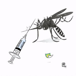 dengue: vaccines to the rescue