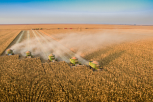 brazil reduces forecasts for next harvest