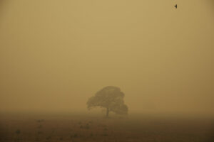 ibama walkout sparks fears of environmental decline once fire season returns