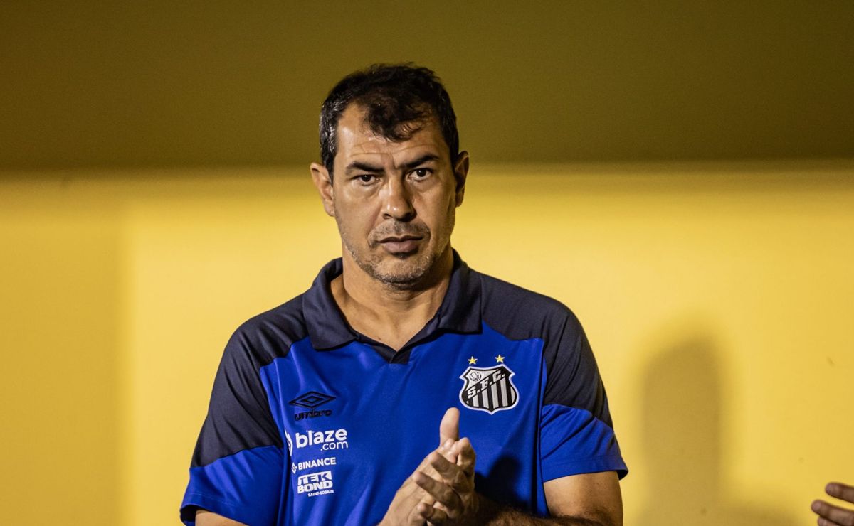 fábio carille é sincero sobre 'elenco curto' do santos após lesão de giuliano