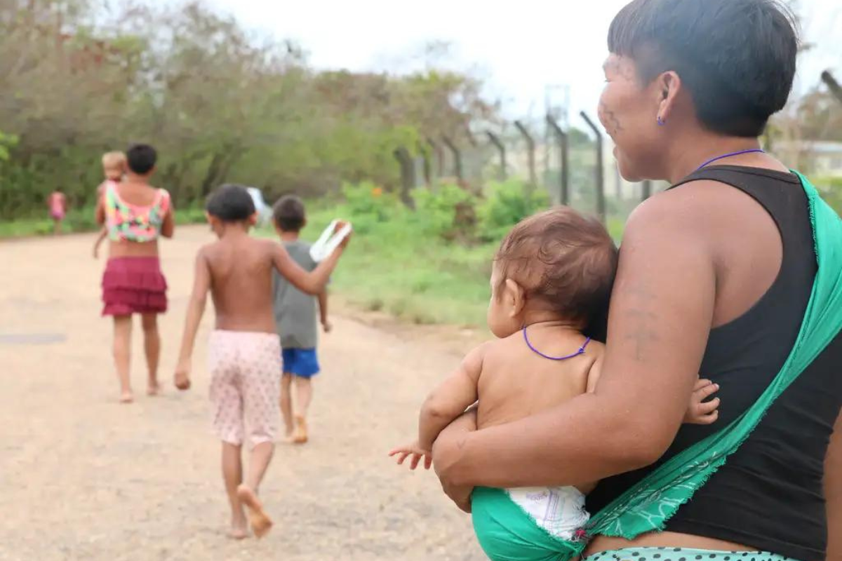 yanomami deaths continue to rise in northern brazil