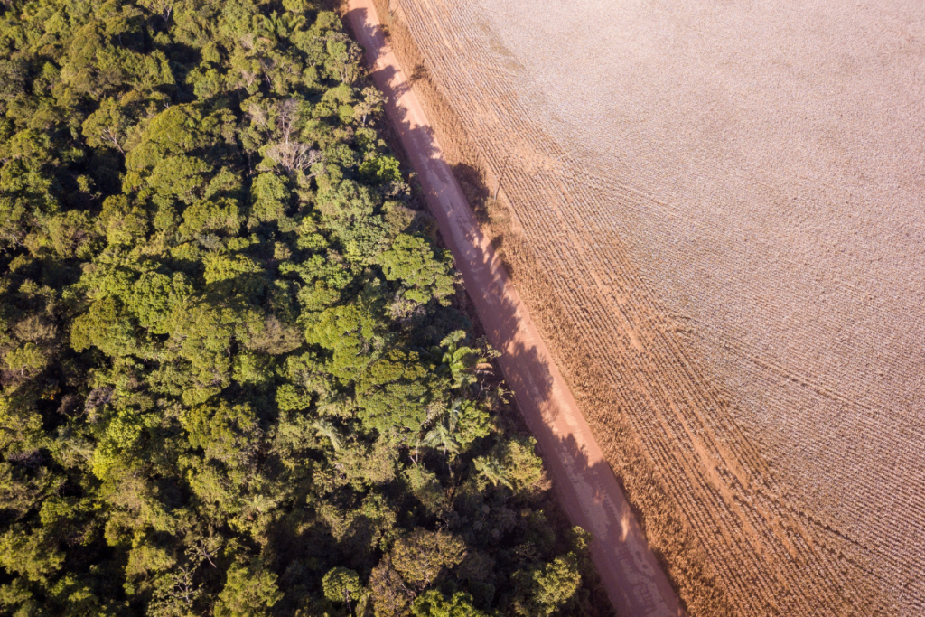 pará follows through on cop28 pledge to restore native vegetation