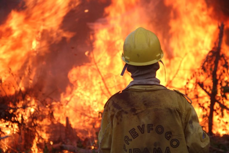 amazon fires rage in roraima, brazil’s northernmost state