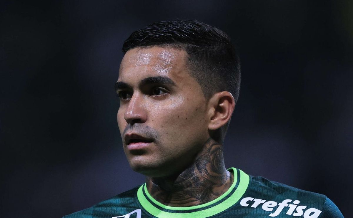 abel ferreira é comunicado pelo departamento médico do palmeiras sobre data de retorno de dudu