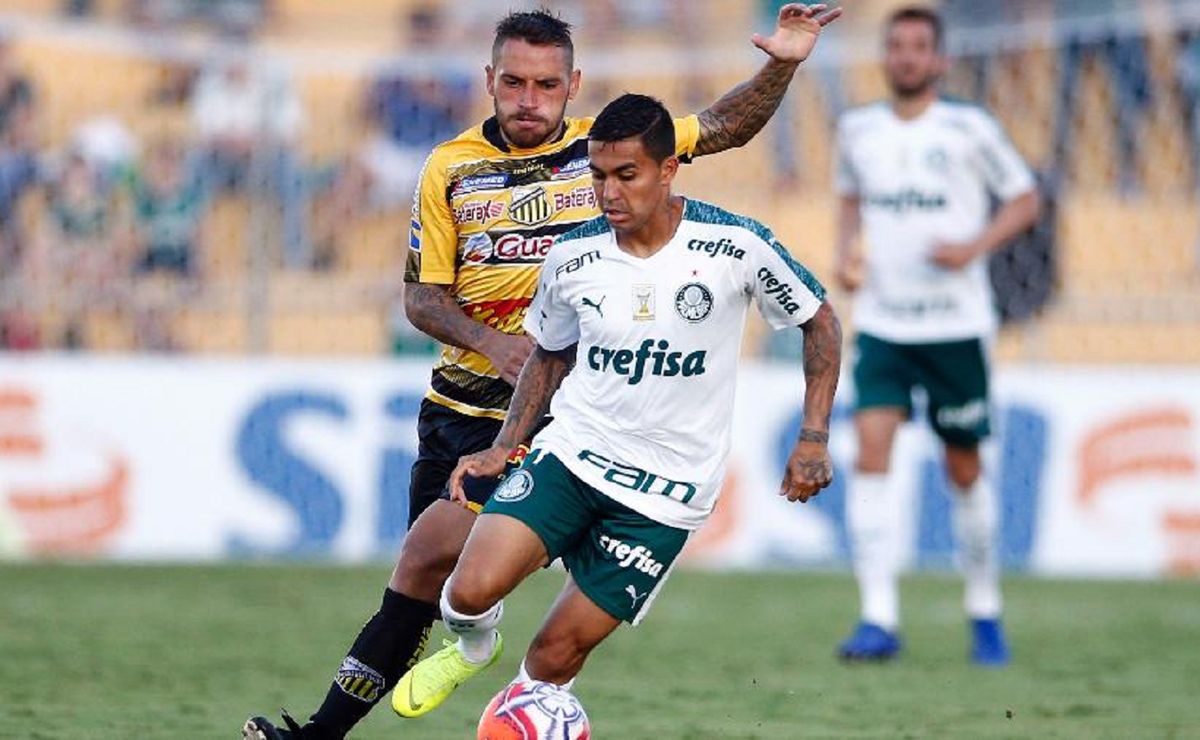 palmeiras x novorizontino: saiba onde assistir partida desta quinta feira (28)