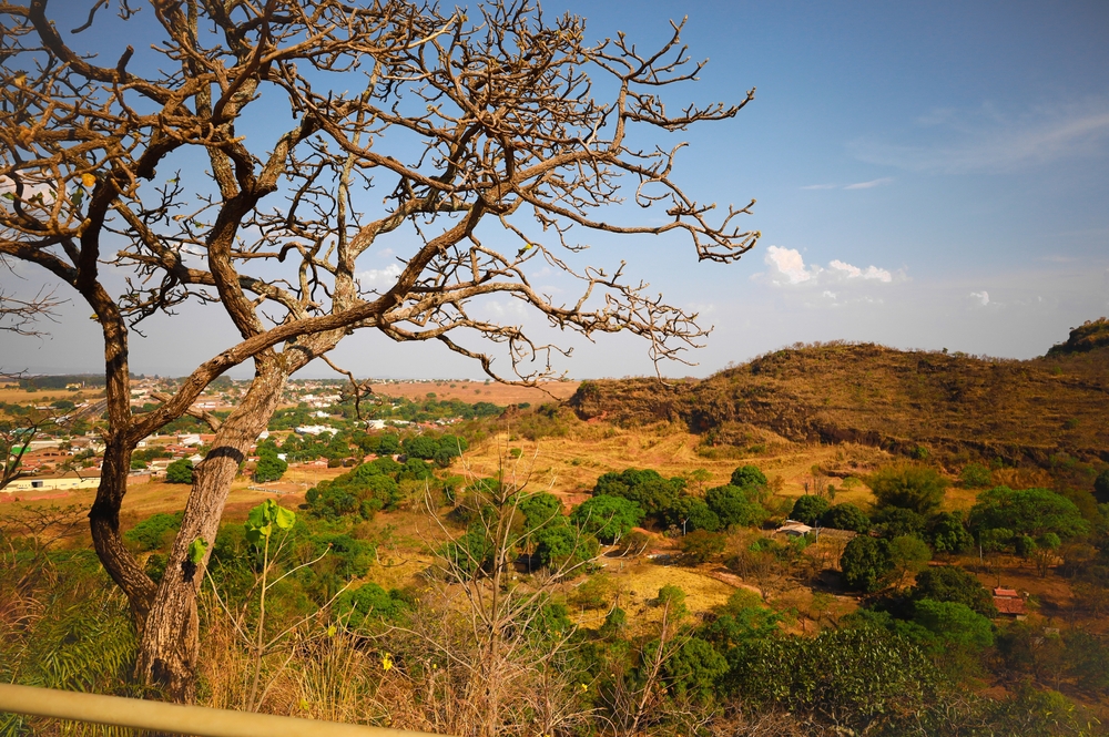 explaining brazil #283: why you should care about brazil’s cerrado