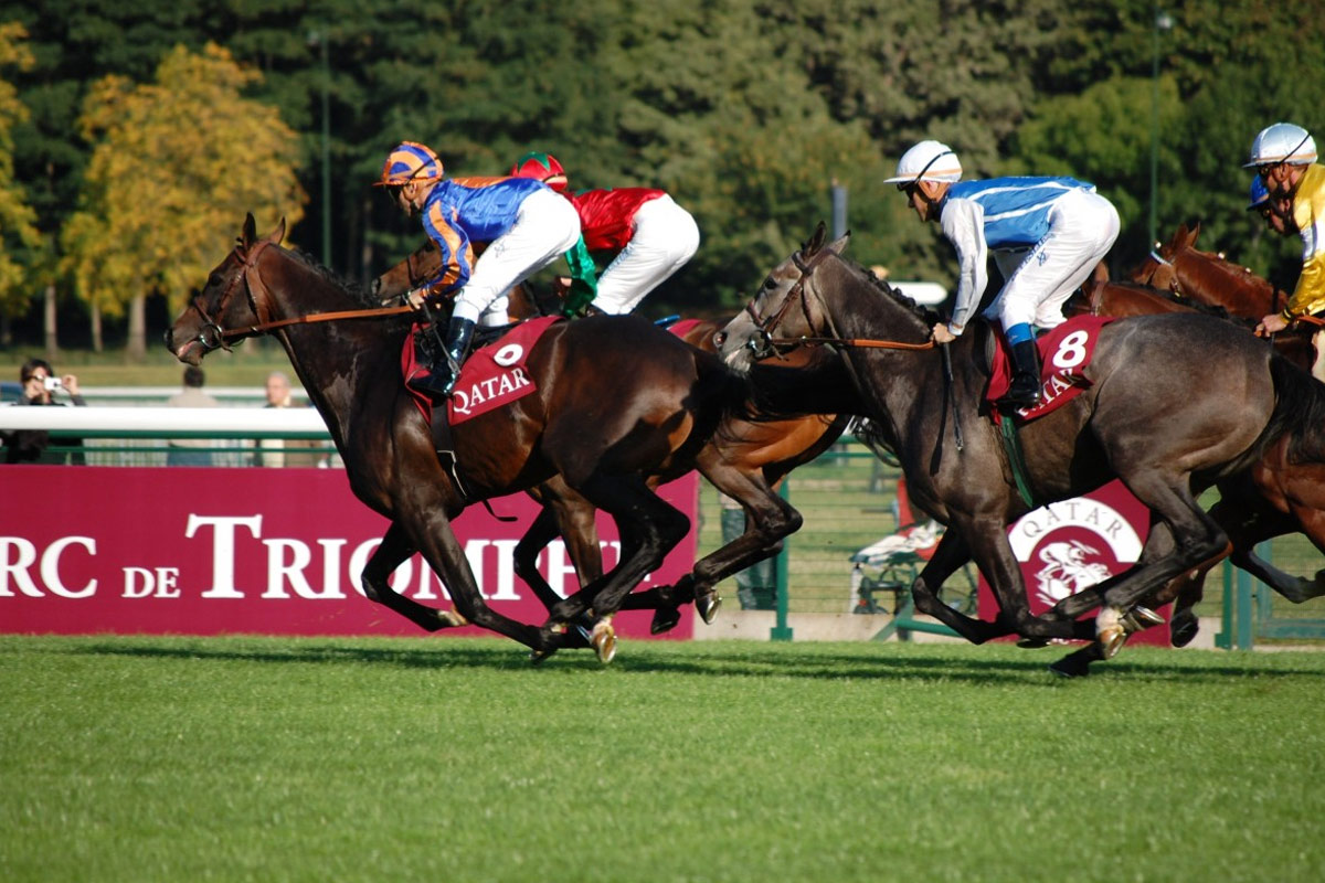 macau jockey club holds final horse races