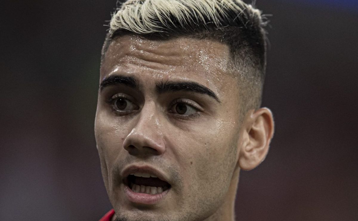 andreas pereira revela bastidores inéditos do flamengo após derrota para palmeiras na libertadores: “não consigo acreditar”