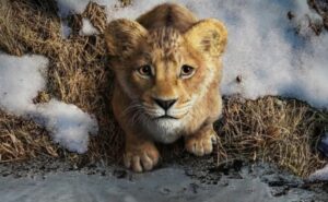 disney+: longa mufasa: rei leão ganha primeiro trailer com participação de beyoncé