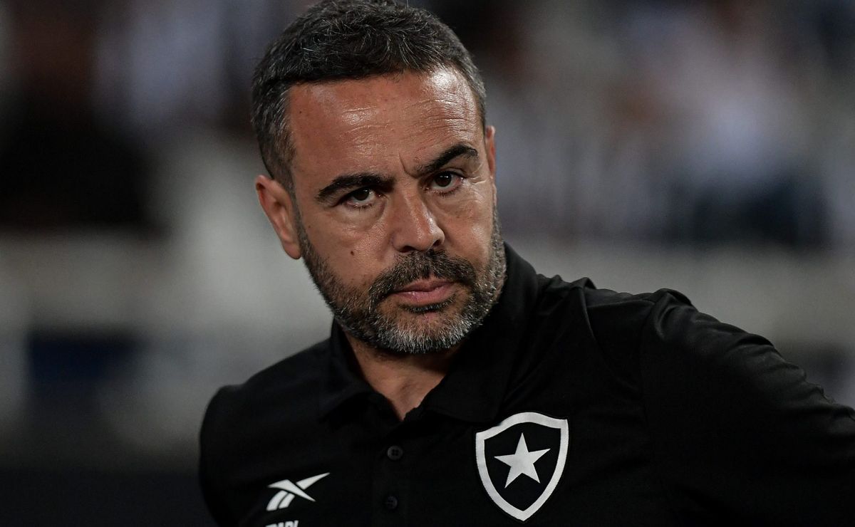 neste domingo (21), botafogo encara o juventude pelo brasileirão; confira onde assistir