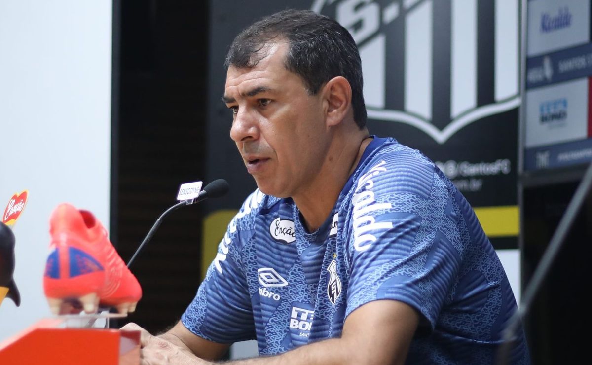 carille comenta sobre longas distâncias que irá ter que percorrer neste brasileirão série b e brinca: “avaí é pertinho”