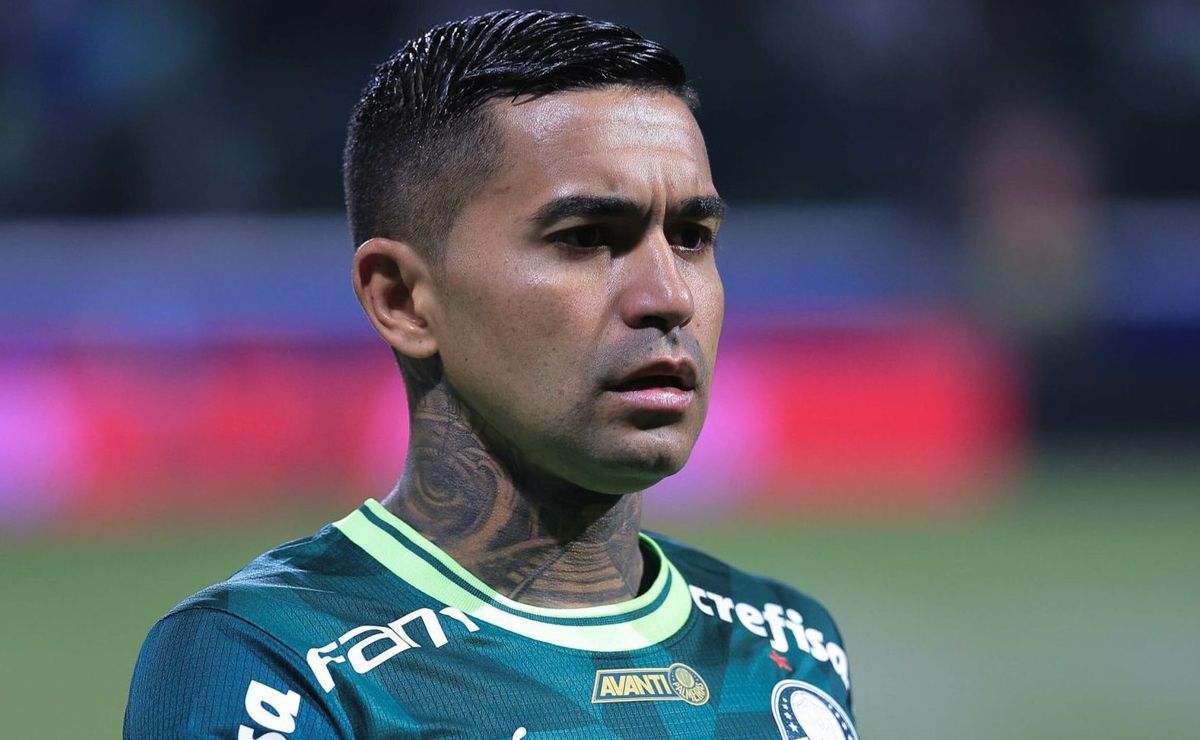 dudu é barrado por segurança e não consegue entrar no gramado após título do palmeiras; entenda