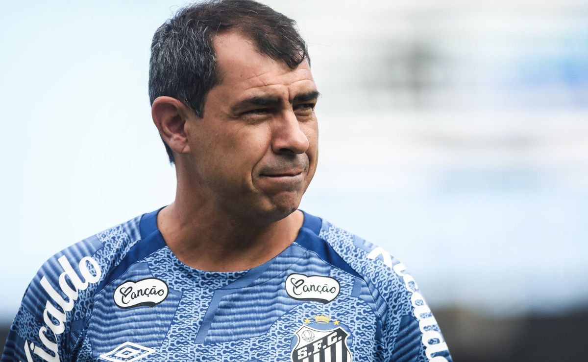 santos encara o avaí pela 2ª rodada da série b; onde assistir e mais detalhes 