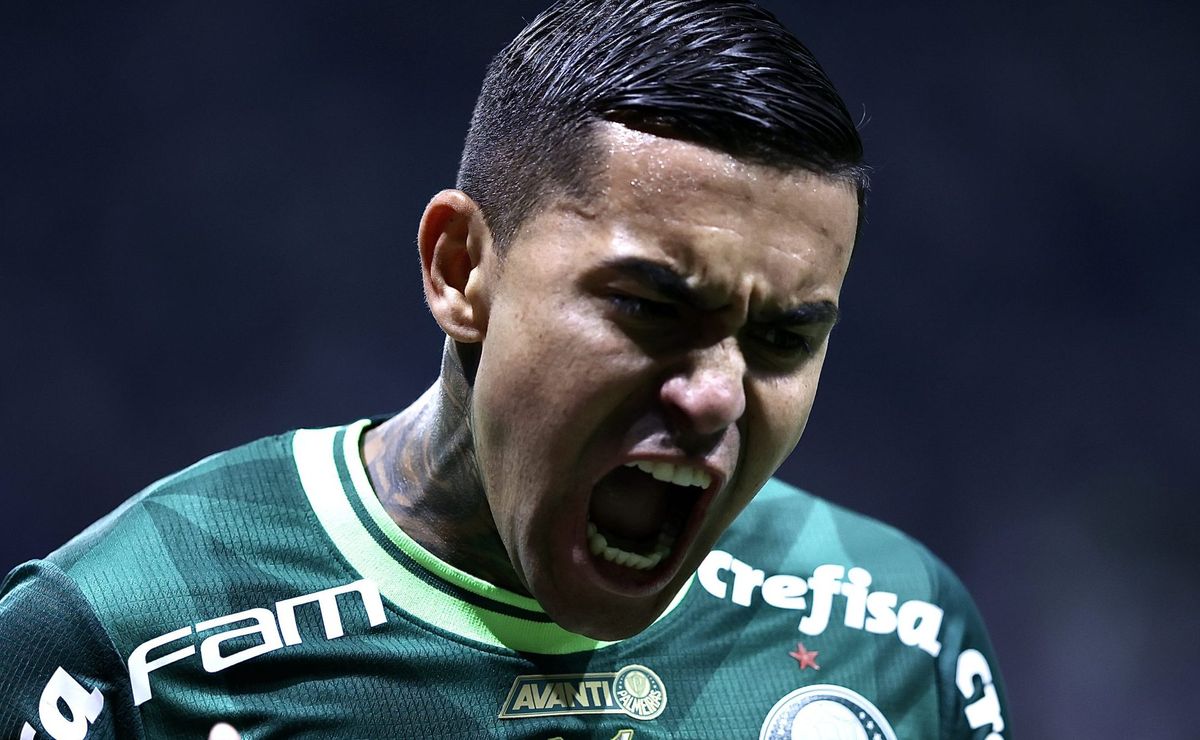 dudu surge no palmeiras treinando com bola e deve retornar dentro de um mês