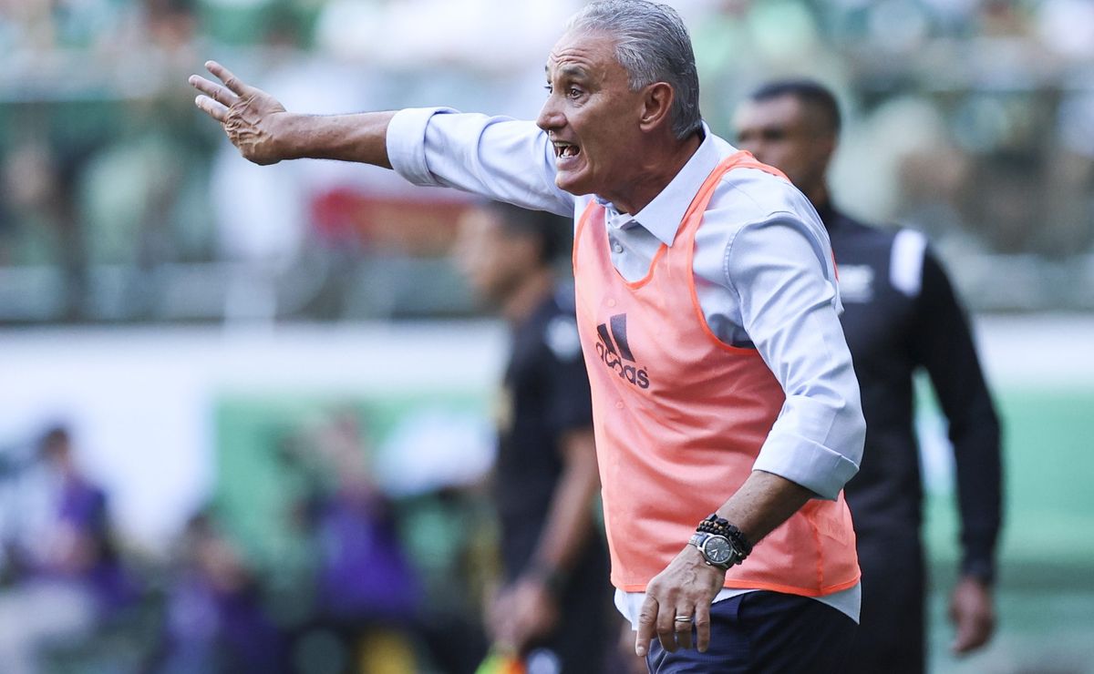 palmeiras empata e tite comenta sobre sintético do allianz: "exigência muito maior"