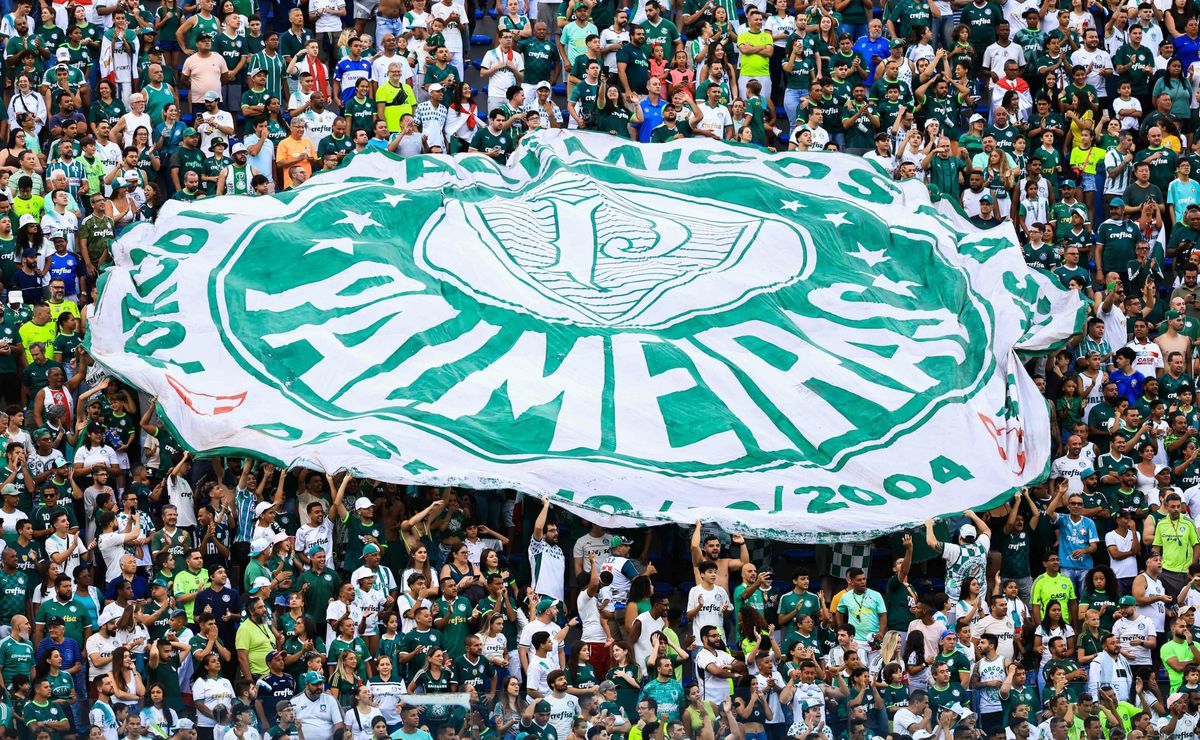 palmeiras tem maior faturamento da sua história com sócio torcedor em um único mês