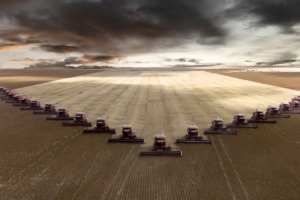 brazil’s soybean hub to lose billions amid drop in prices 