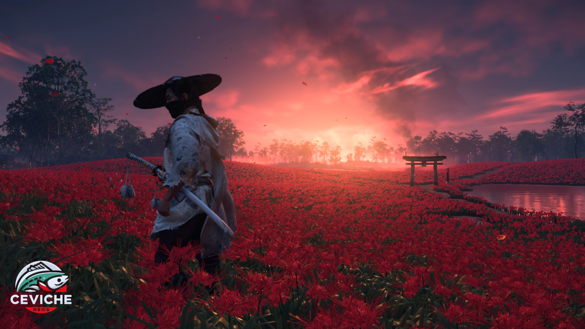 ghost of tsushima se lanzará en steam pero estará restringido en más de 170 países