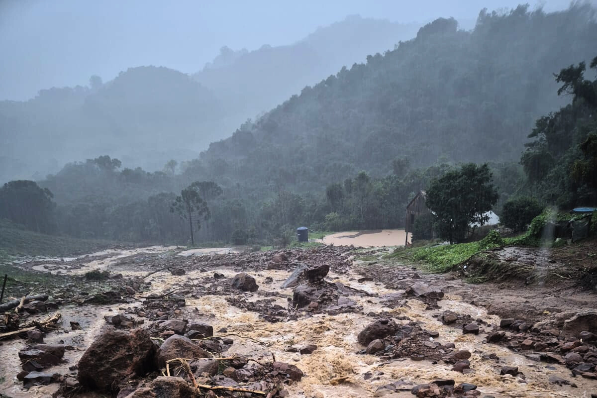 brazil’s wine industry holds firm amid climate chaos