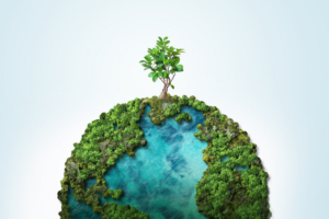 brazil can be a hub for climate transition investments