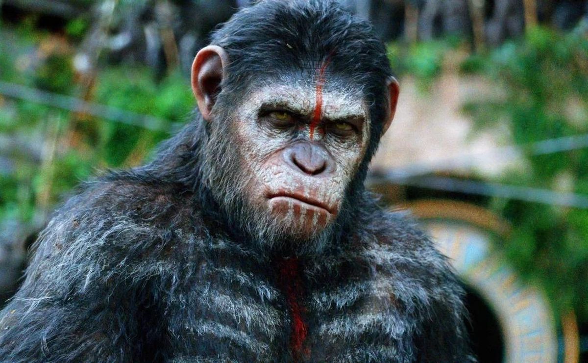 planeta dos macacos: veja quais são os filmes mais bem avaliados da franquia, segundo o imdb