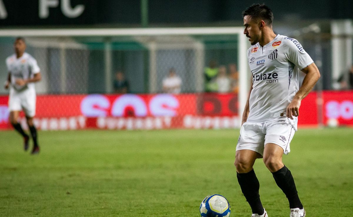 santos de carille  lidera a série b nas primeiras sete rodadas e se estabiliza no g4