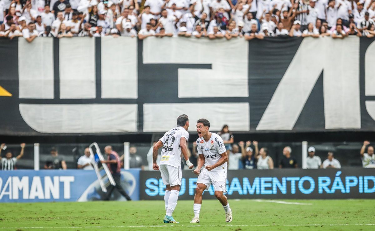 com torcida de volta a vila belmiro, santos doará bilheteria para o rio grande do sul