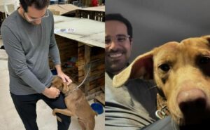 repórter do sbt emociona ao adotar cachorro que "abraçou" sua perna no rs