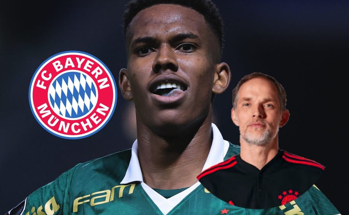 r$ 332 milhões: bayern, de tuchel, quer fechar negócio com o palmeiras por estevão