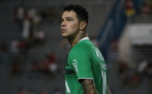 palpite botafogo sp x chapecoense – série b – 14/05/2024