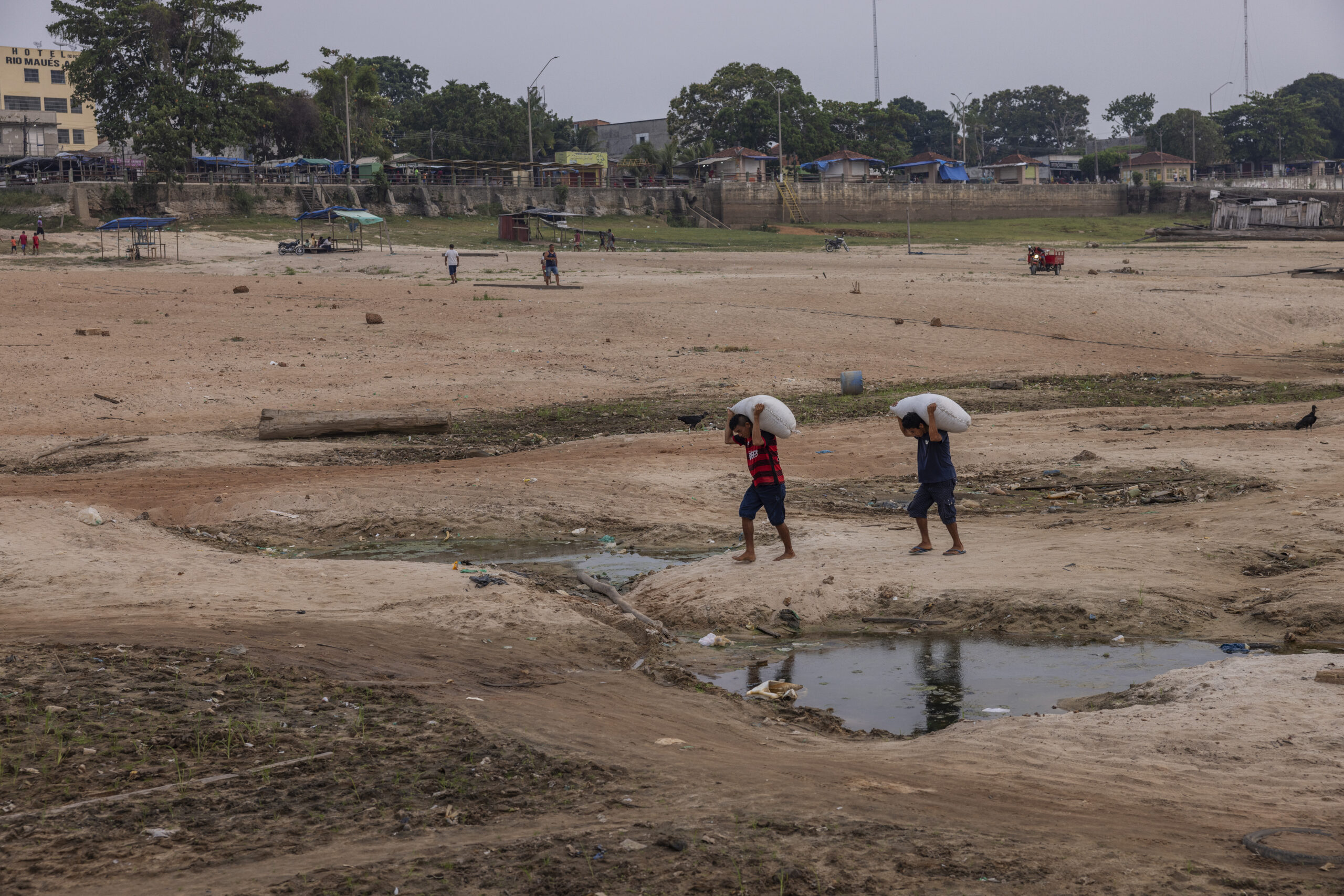 brazil’s amazon could be in for severe drought double header