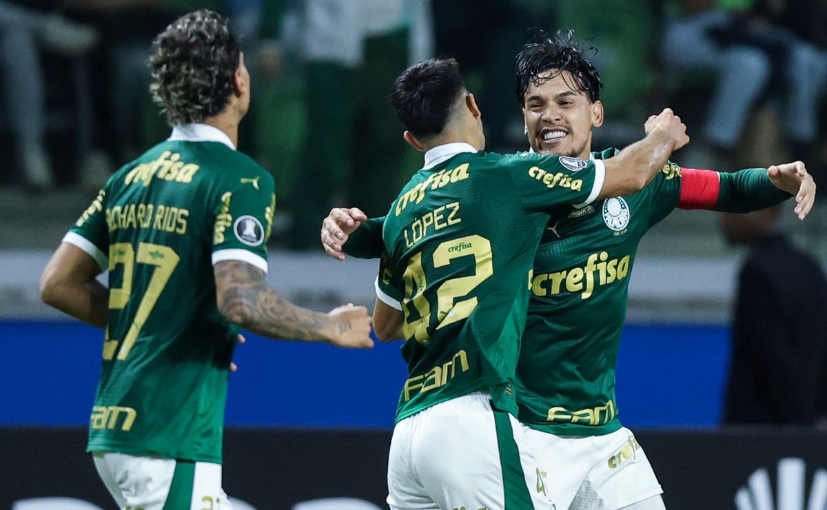 palpite criciúma x palmeiras – campeonato brasileiro – 2/6/2024