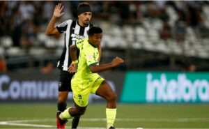 botafogo leva vantagem contra o palmeiras em partidas válidas pela libertadores