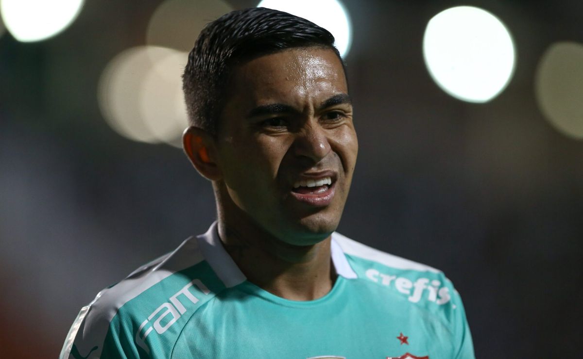 pvc reprova mágoa de dudu, do palmeiras, com abel ferreira: "não bajula, trabalha"