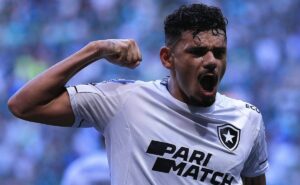 botafogo já eliminou palmeiras em libertadores na história