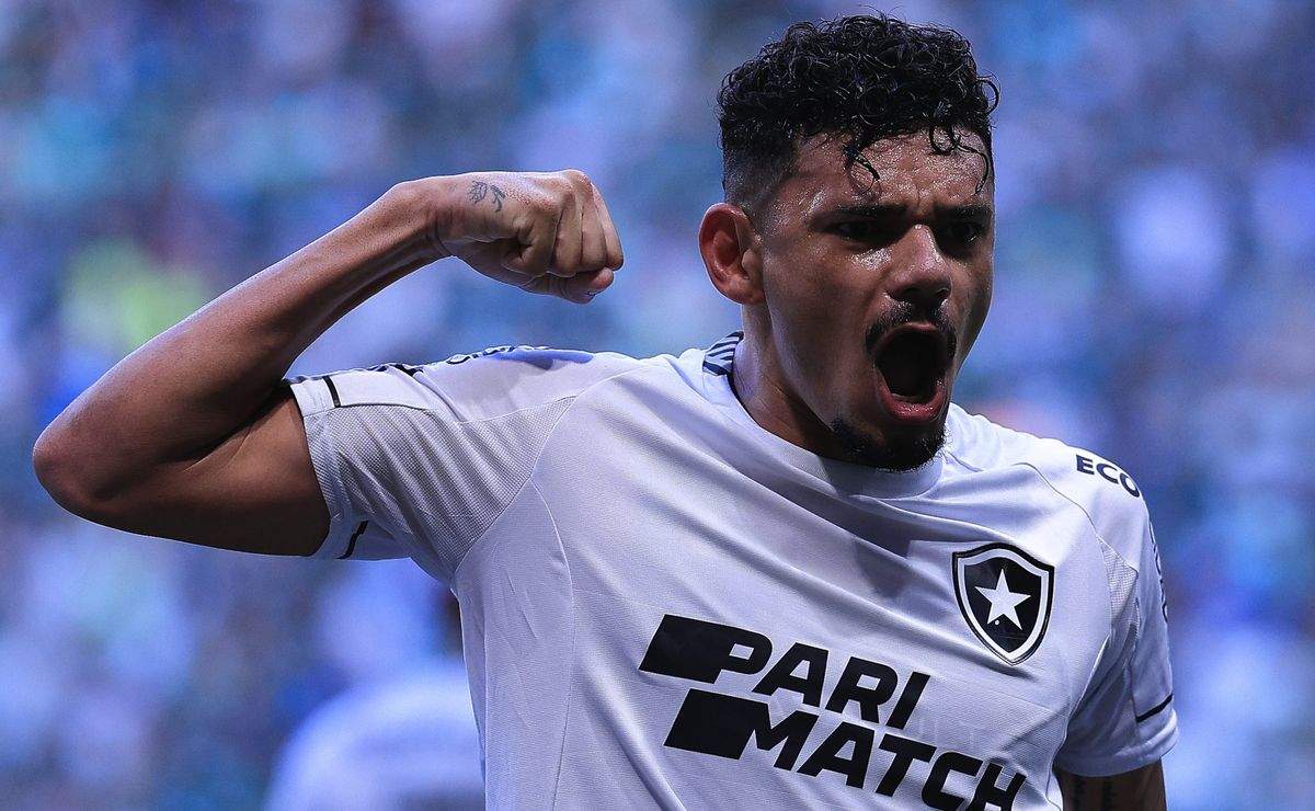 botafogo já eliminou palmeiras em libertadores na história