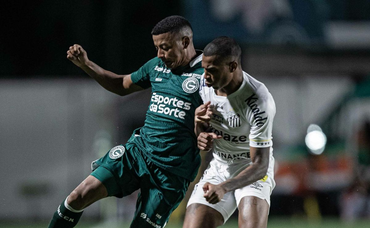 santos x goiás ao vivo – onde assistir o jogo em tempo real pelo brasileirão série b