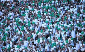 saiba como comprar ingressos e ir ao allianz em palmeiras x rb bragantino