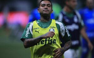 dudu no palmeiras: títulos, gols, recordes e assistências pelo clube