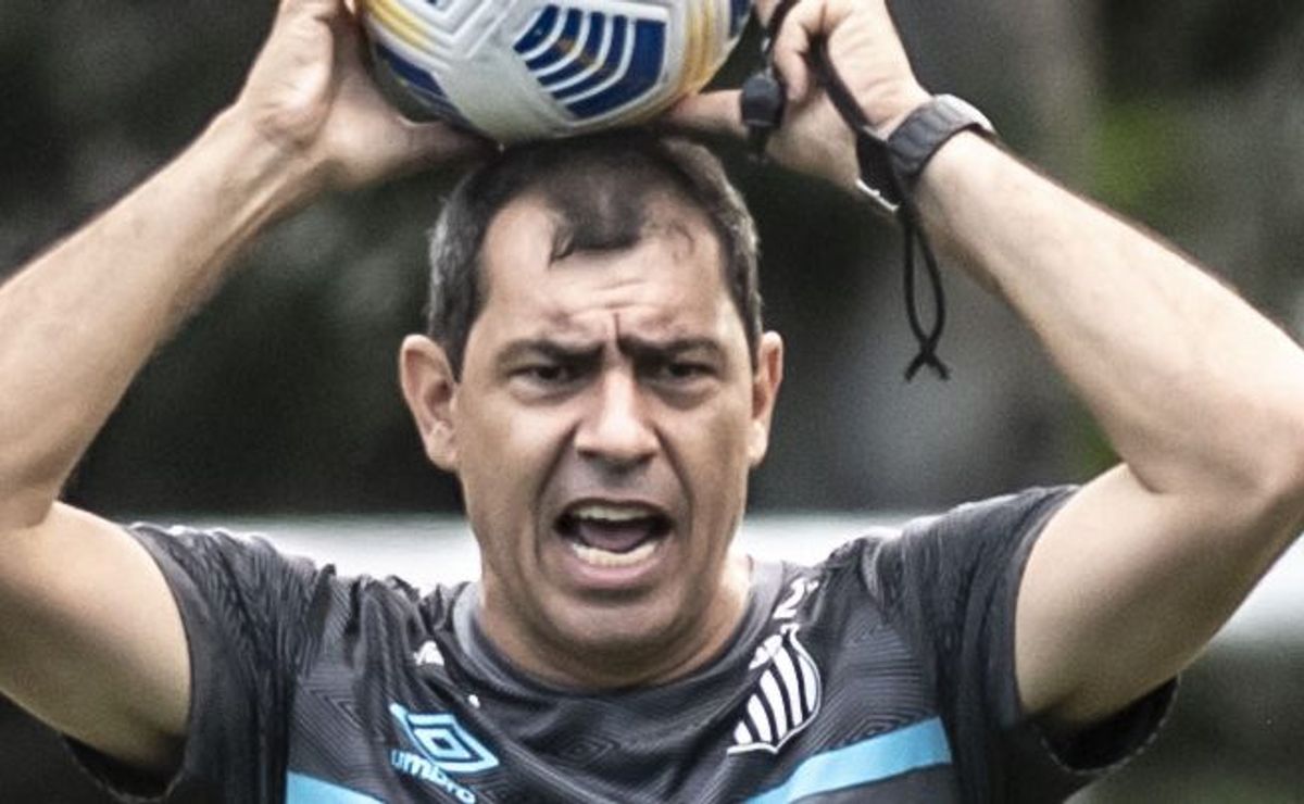 carille libera e santos deve emprestar meio campista ao shimizu s pulse (jap)