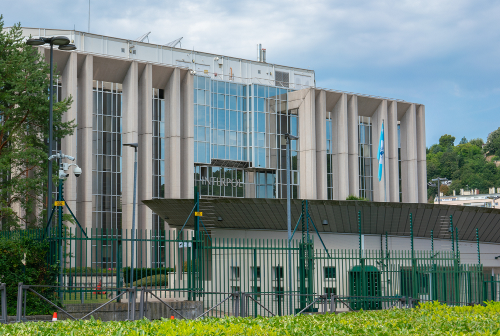 brazilian fed named interpol head