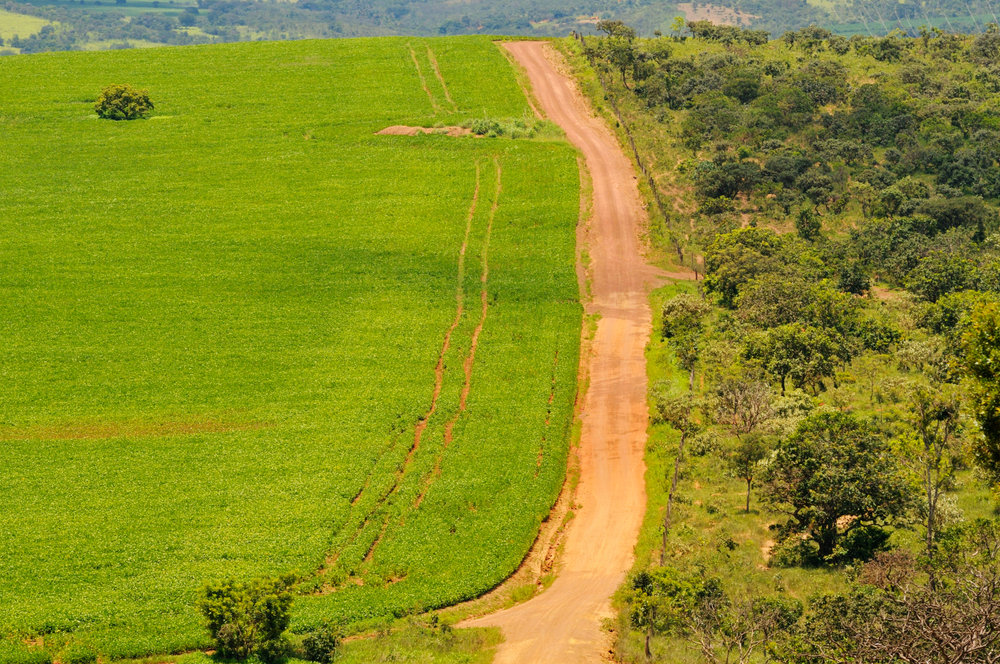 china can put pressure on brazil’s lax cerrado protections