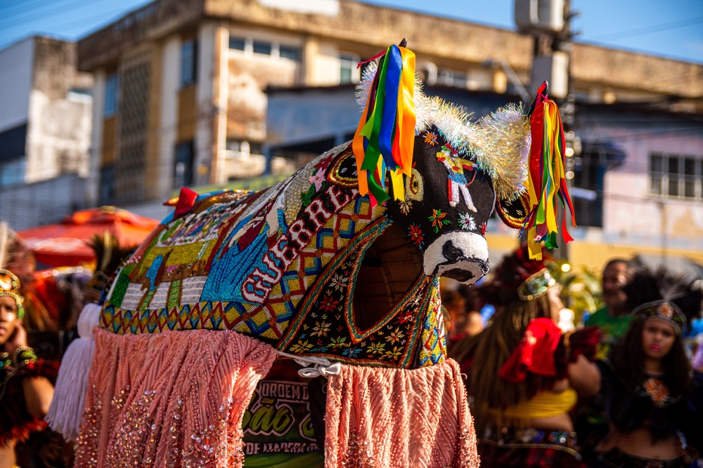 the parintins festival and the legend of boi bumbá