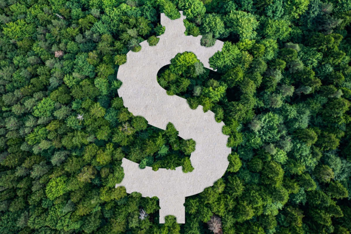 tech roundup: a fund to foster the amazon bioeconomy