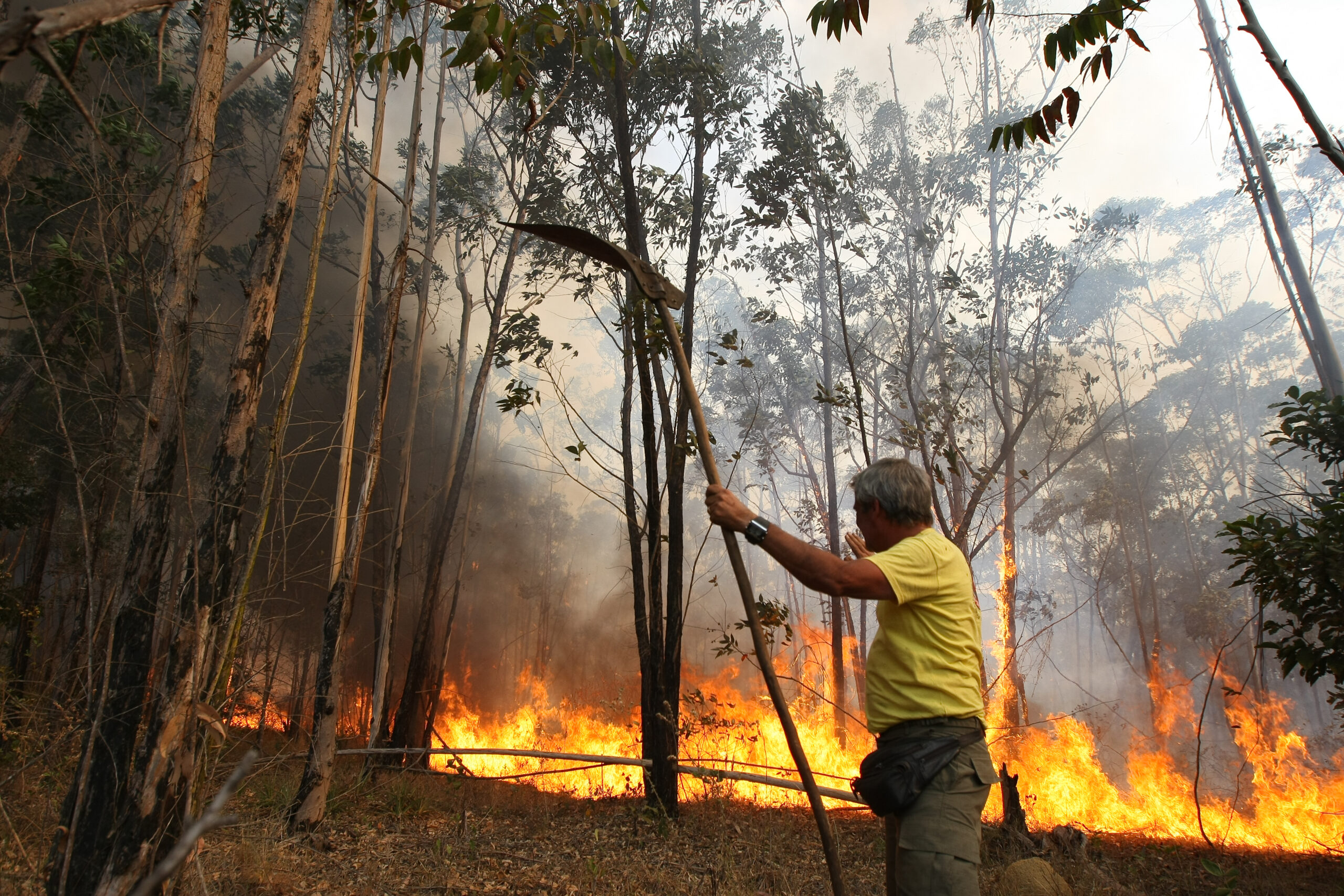 government gets a win as environmental workers are ordered to limit strike