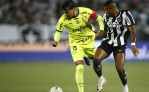botafogo x palmeiras ao vivo – onde assistir ao jogo pelo brasileiro em tempo real