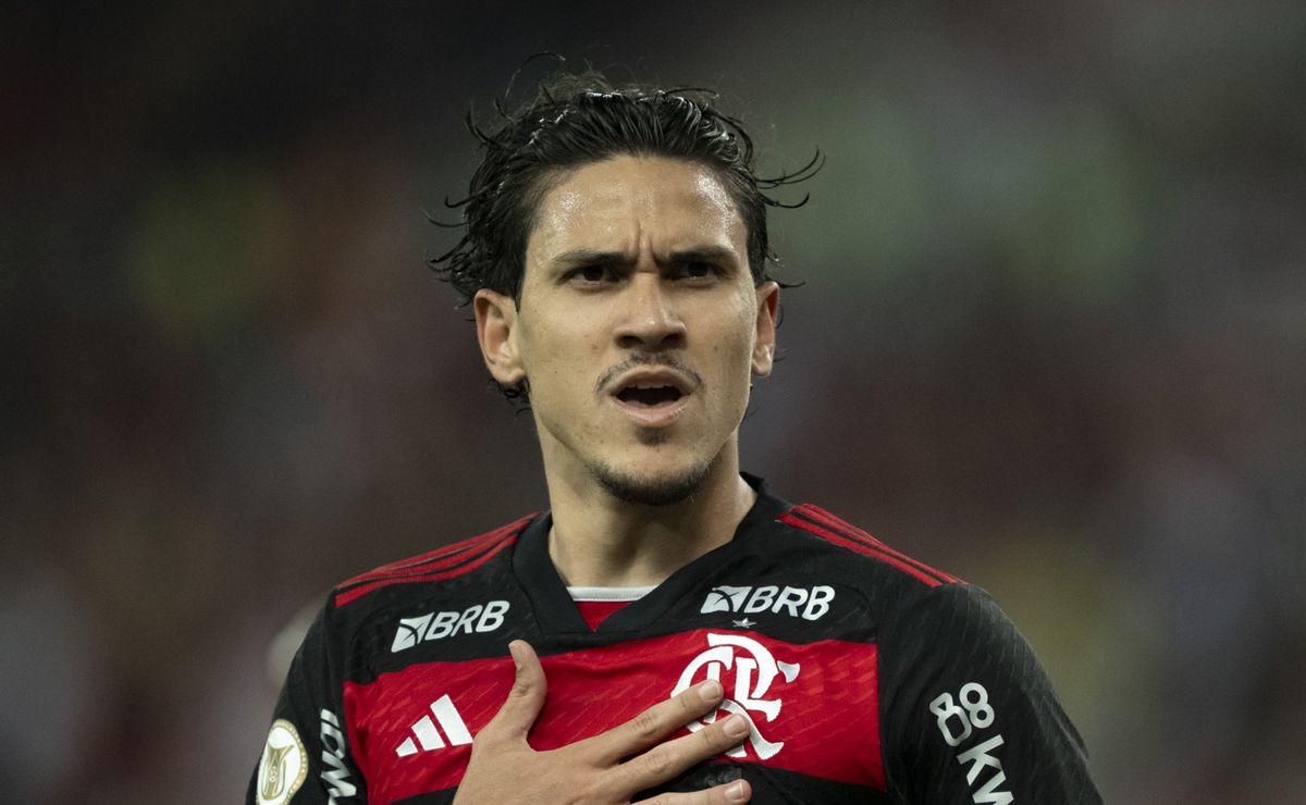 pedro fecha melhor semestre da carreira com o flamengo como artilheiro no brasil