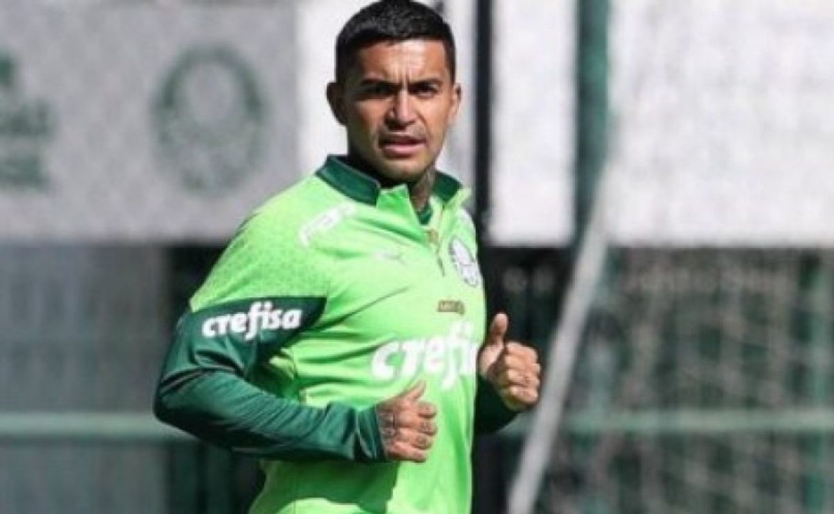 fim de uma era: dudu deve ceder a pressão e deixar o palmeiras