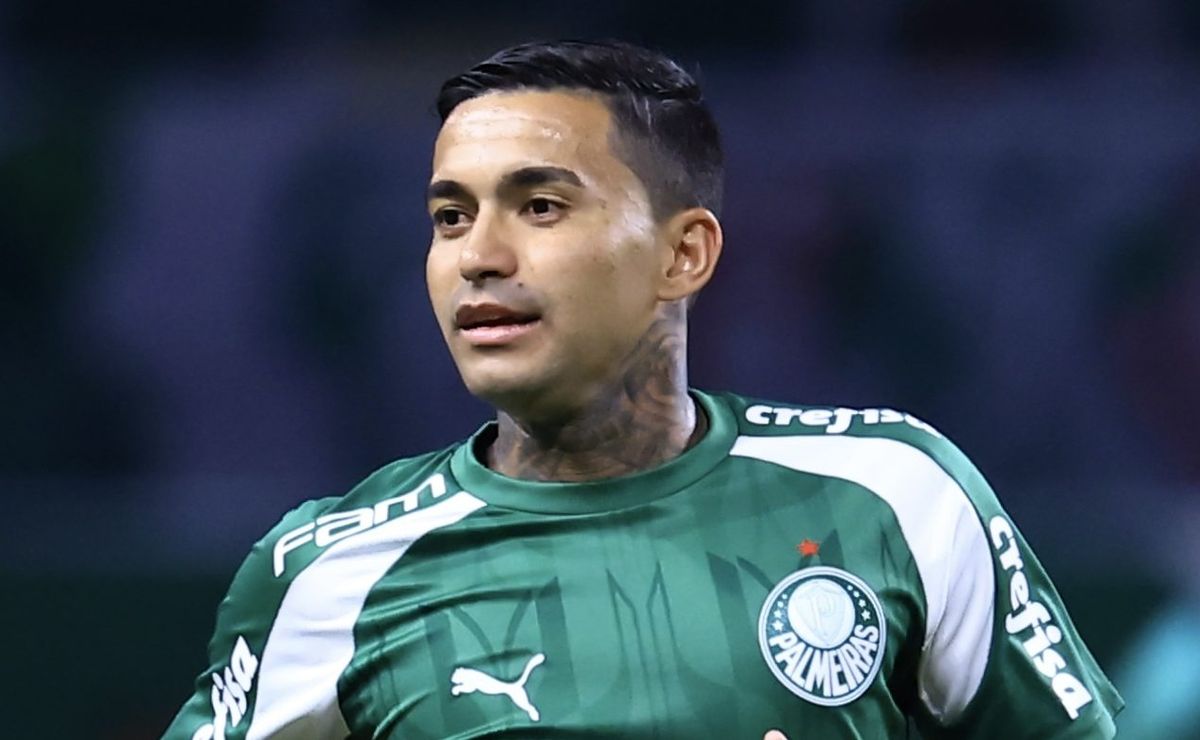 dudu chega aos 450 jogos com a camisa do palmeiras e passa grandes nomes do clube