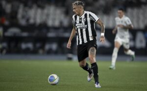 botafogo x palmeiras: qual time vai vencer o confronto que vale a liderança, segundo odds